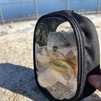 アローズベアのおうち