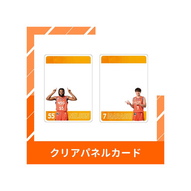 【ランダム】クリアパネルカード