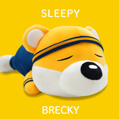 もっちりSLEEPYブレッキー